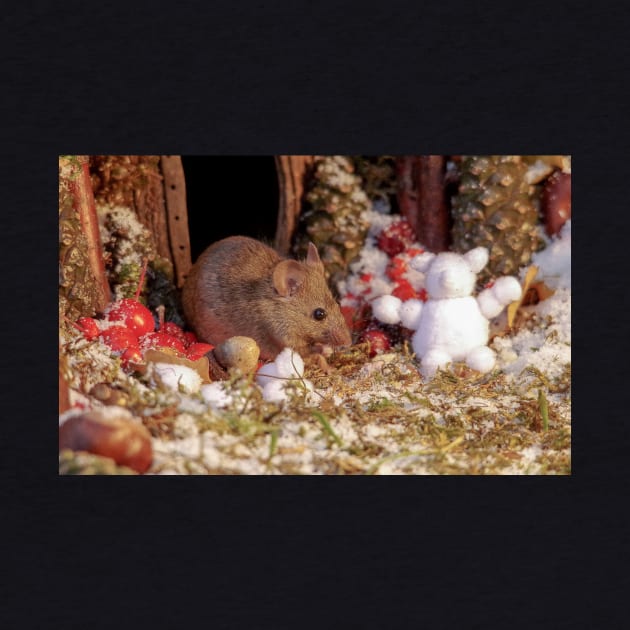 Winter mouse in a christmas house by Simon-dell